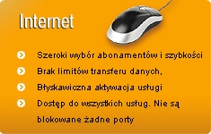 Usługa dostępu do Internetu